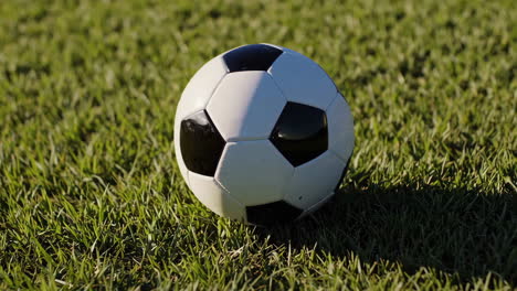 soccer ball on a grassy field