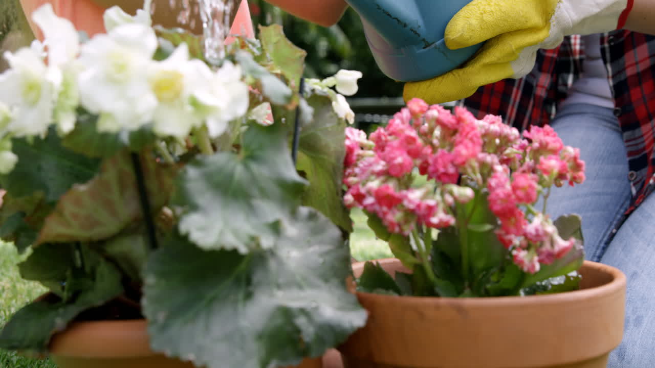 鉢植えに水やりをする母娘のクローズアップ