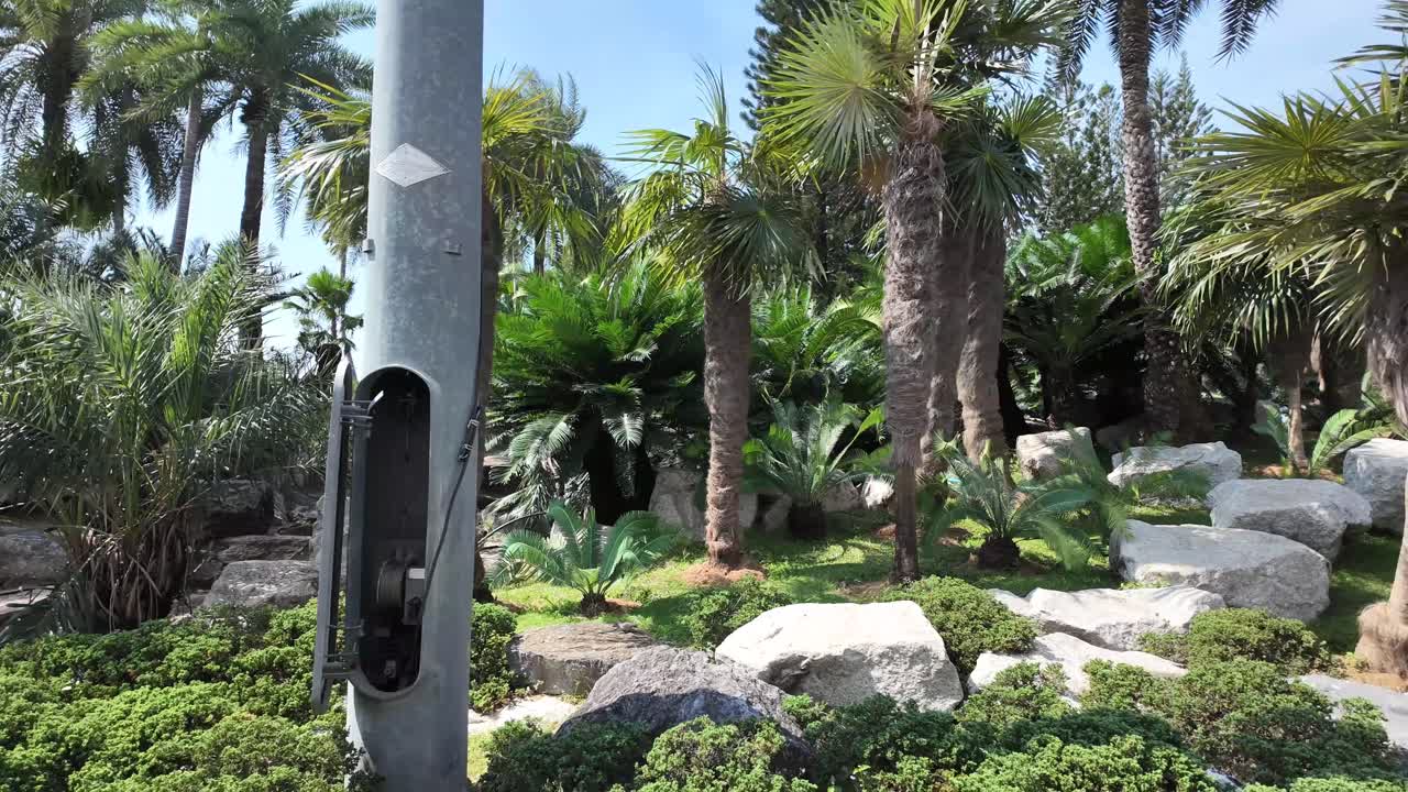 Tropical nature Nong Nooch Botanical Garden Pattaya Thailand tourist spot