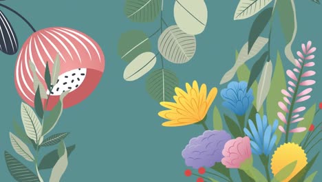 animation of colourful flowers and green foliage on grey background