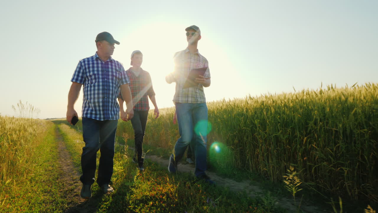 성공적인 팀과 팀 빌딩 개념을 이야기하는 밀밭을 따라 걷는 농부 그룹