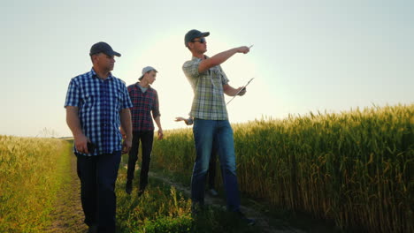 A-Group-Of-Farmers-Walking-Along-The-Wheat-Fields-Talking-Successful-Team-And-Team-Building-Concept