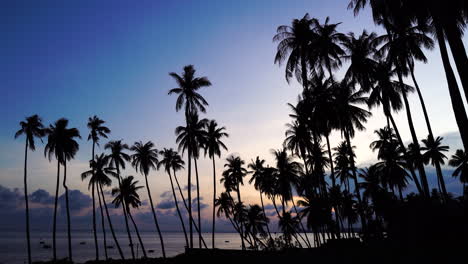 Puesta-De-Sol-Relajante-En-El-Bosque-De-Palmeras-Junto-Al-Mar,-Concepto-De-Vacaciones-Exóticas