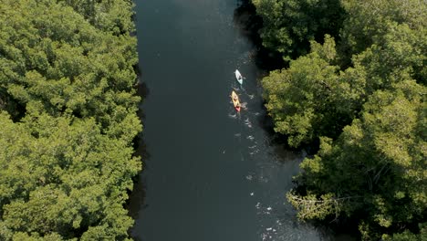 kayakers paddling in canoe on a river in tropical rainforest in guatemala - aerial drone shot