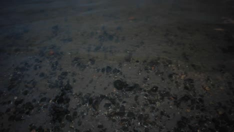 shallow bay waters sway peacefully; water is transparent and sand with rocks clearly visible at the bottom. sun has set. footage in hd