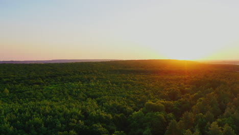 idyllic nature at sunset. panoramic view of beautiful green forest on the setting sun background. morning sunlight over the tops of trees. aerial view.