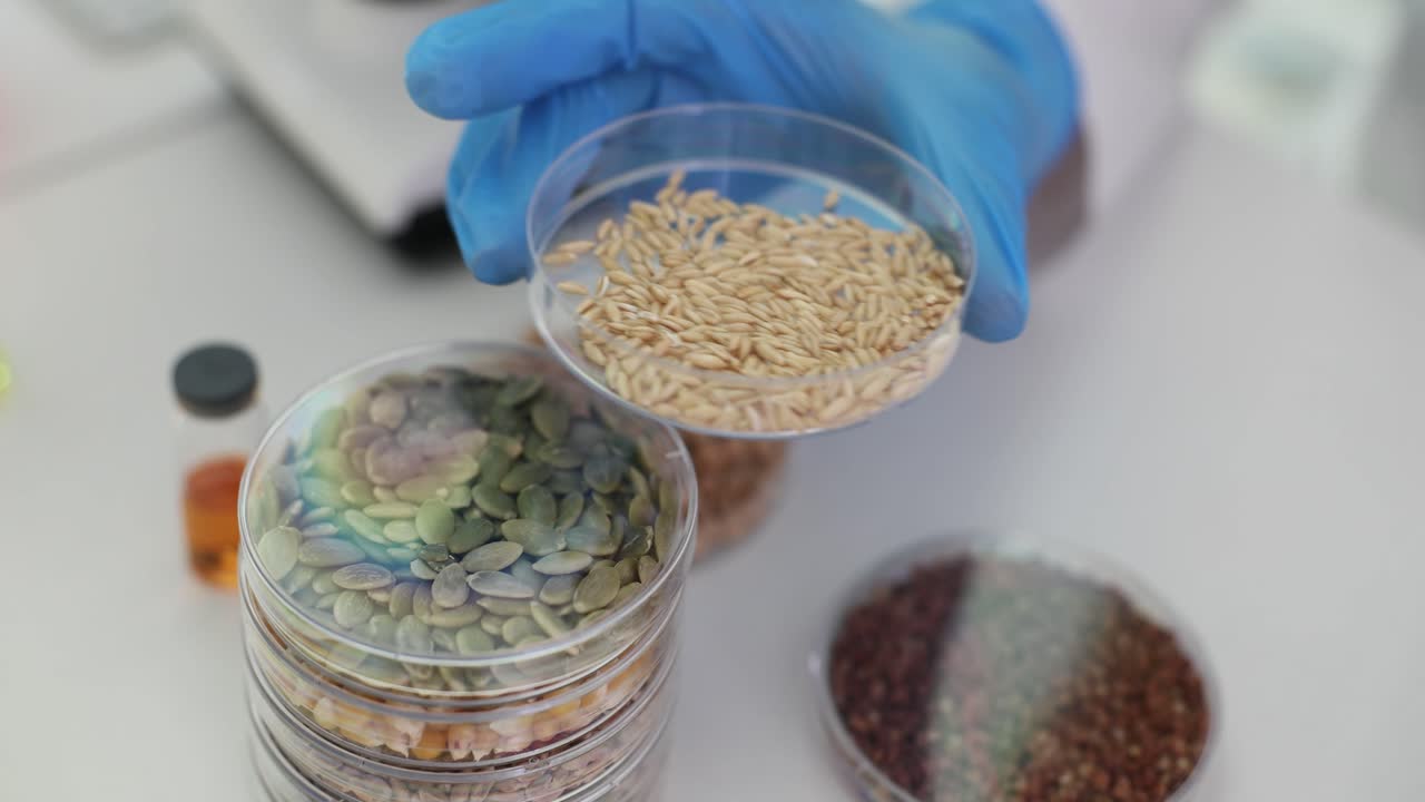 Laboratory research on seeds and grains