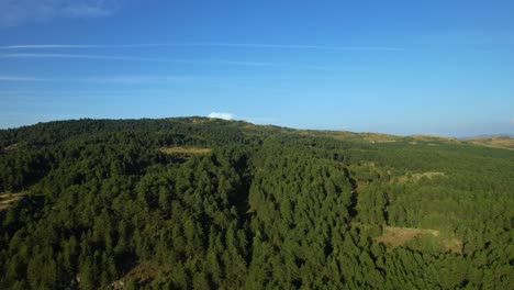 Green-forest-with-pine-trees-on-mountains-on-a-summer-day-with-blue-sky-and-white-clouds,-beautiful-nature-background