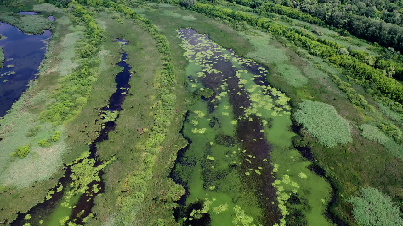 crecimiento dramático hungría río tisza