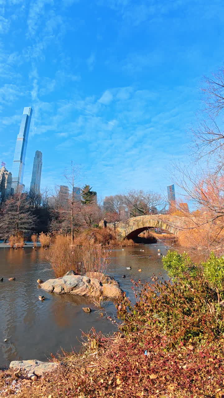 New York, USA, 8 October 2024: Autumn in central park. Visitors enjoy a serene day in Central Park as skyscrapers tower above the tranquil pond on a clear autumn afternoon