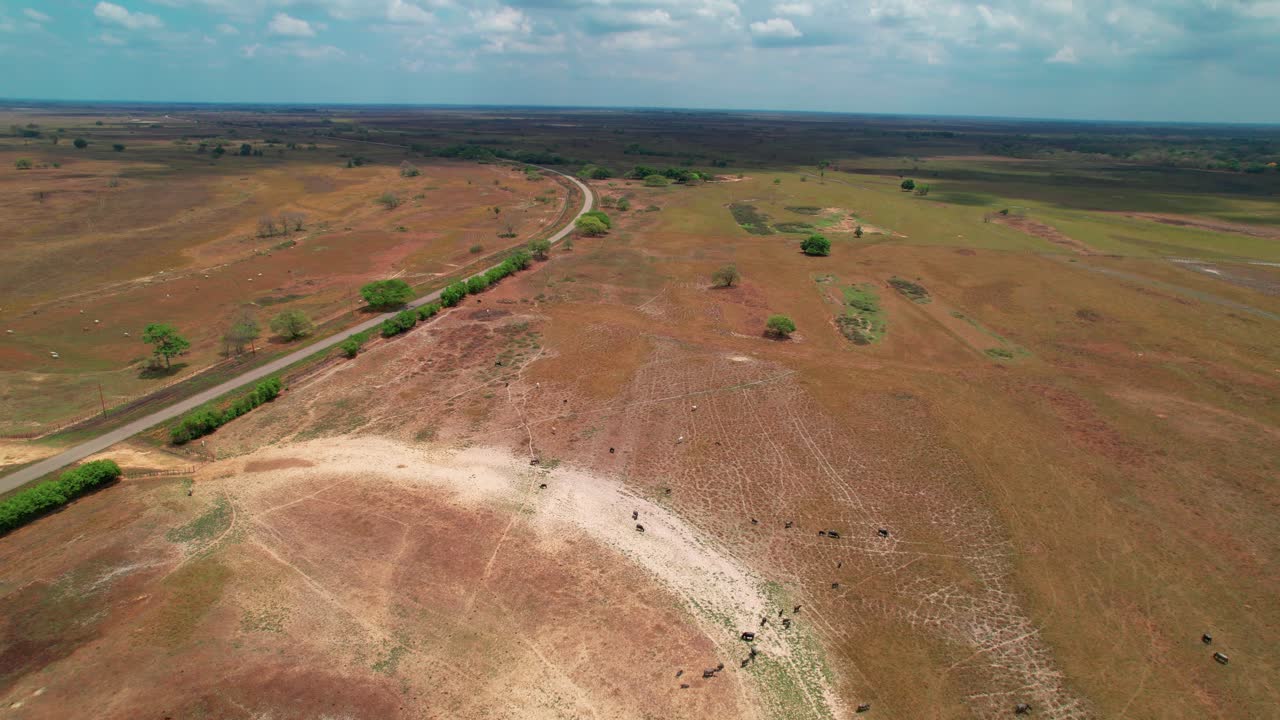 Aerial Panorama of Apure Plains, Venezuela: Mucuritas Parish Landscape