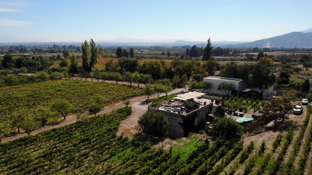 Aerial view of a vineyard with mountains in the background