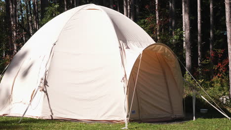 una carpa blanca está equipada en un bosque