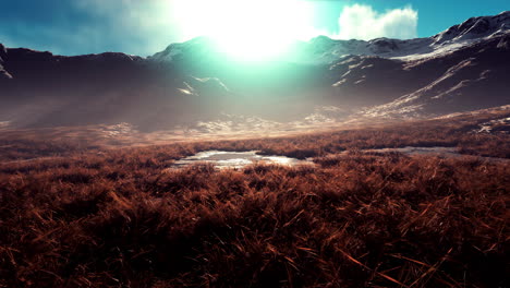 stones covered with grass and moss under bright sky of nepal