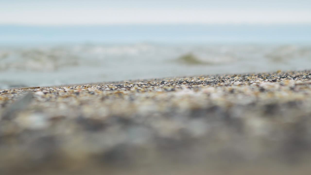 Seashells on the white sand beach in summer, calm waves, Baltic sea coastline, summer vacation, relaxation, ocean, travel concept, low medium shot, shallow depth of field