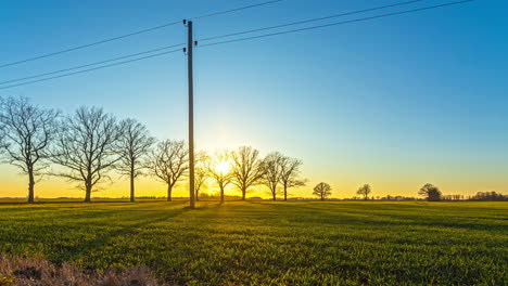 Timelapse-of-solar-glare-effect,-sun-descend-behind-bare-trees,-wonderful-sunset