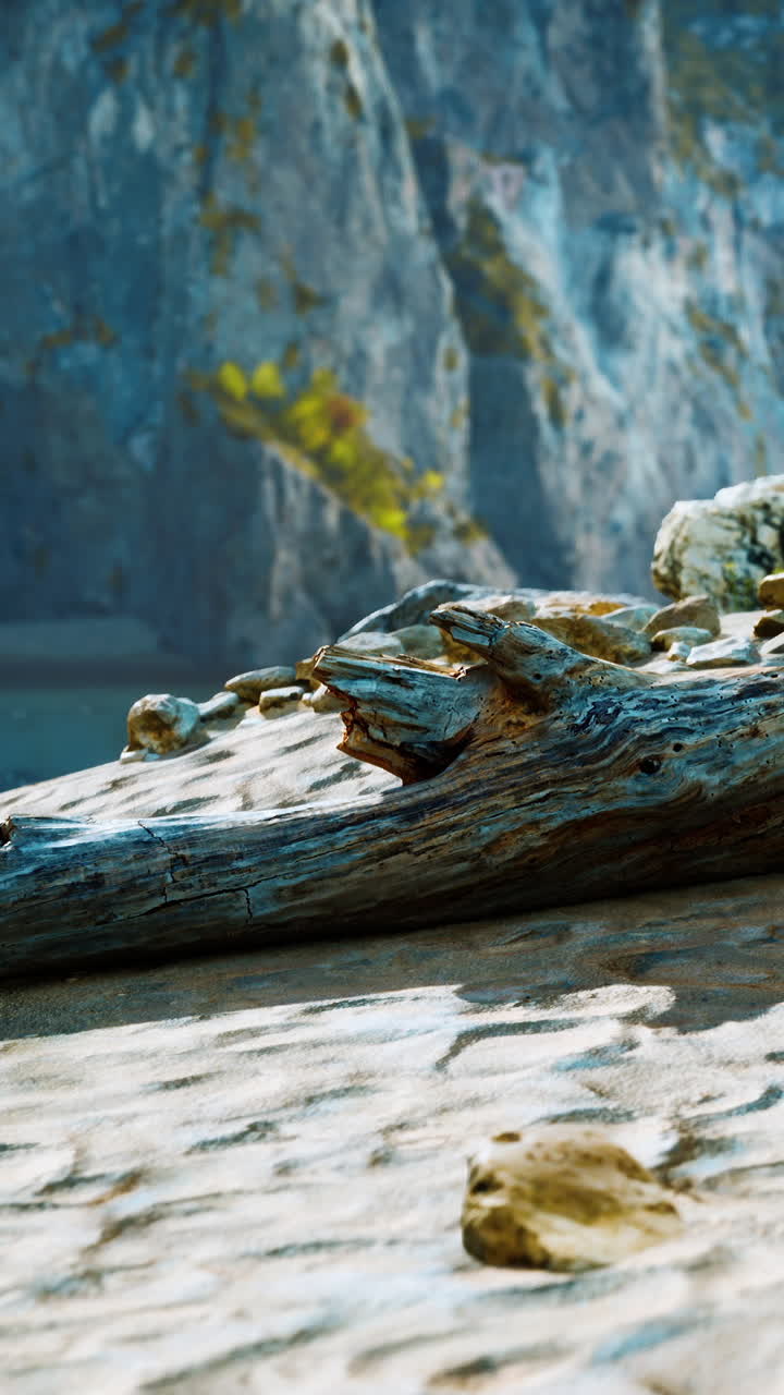 madera a la deriva en una playa de arena con un acantilado rocoso en el fondo