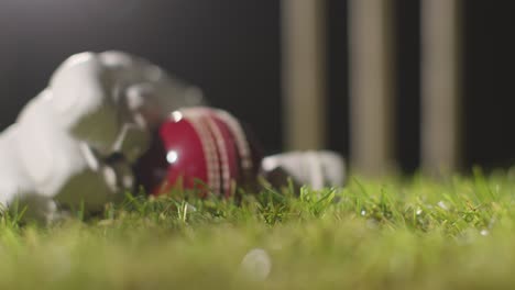 cricket still life with close up of ball lying in glove on grass in front of stumps 2