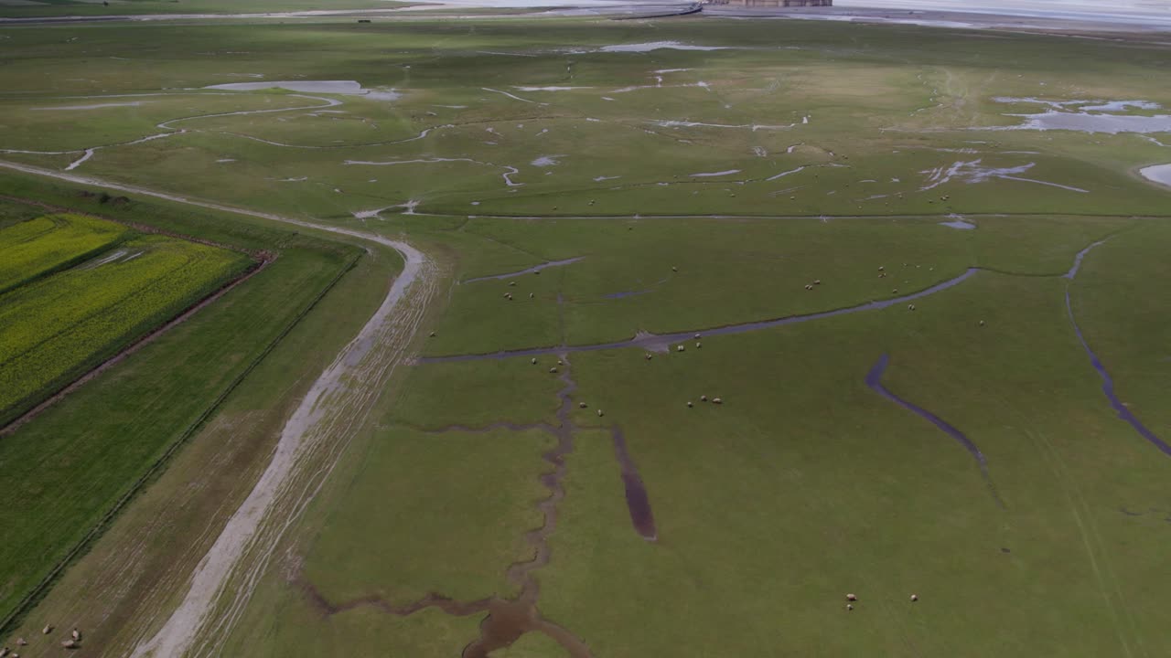 toma aérea del famoso monte san miguel con ovejas durante el día, inclinado hacia arriba