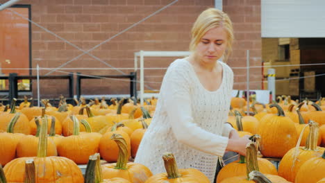 compras festivas - una mujer joven elige una calabaza para halloween 2