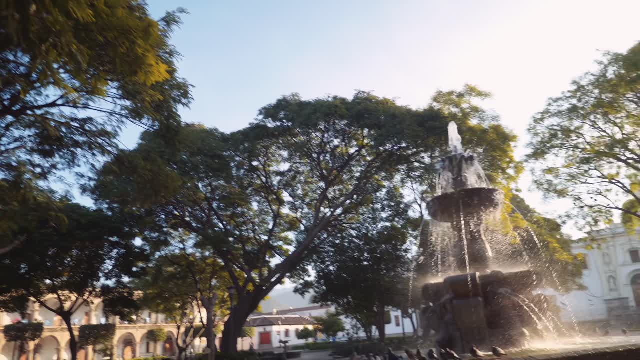 las palomas vuelan alrededor de los árboles que rodean la fuente de la sirena en antigua guatemala al atardecer