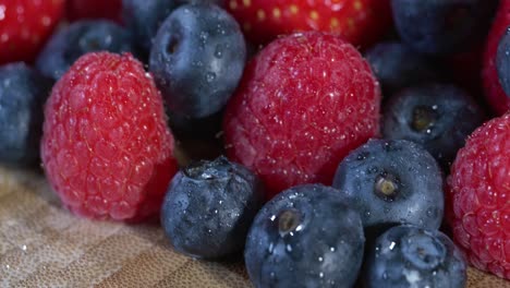 a camera moves past wet berries