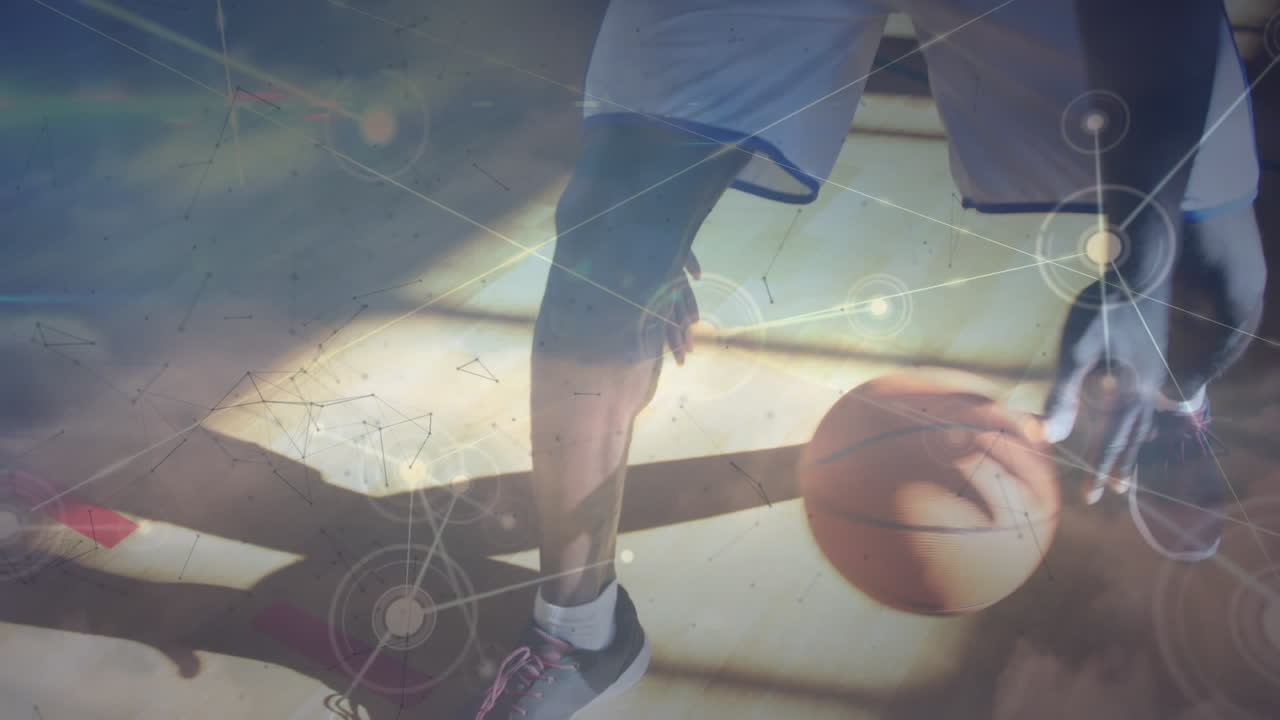 아프리카계 미국인 남자 농구 선수에 대한 연결 네트워크의 애니메이션