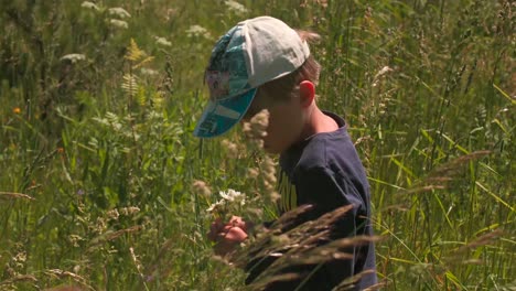 niño recogiendo flores en un campo