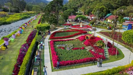 aerial view of visitors in a colorful flower park