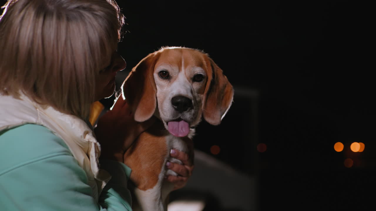 Canine specialist gazes warmly at german shepherd during quiet nighttime moment as shadow softly passes by, highlighting trust, connection, and emotional bond under gentle street lights