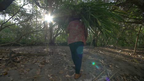 Mujer-llevando-un-paquete-de-cultivos