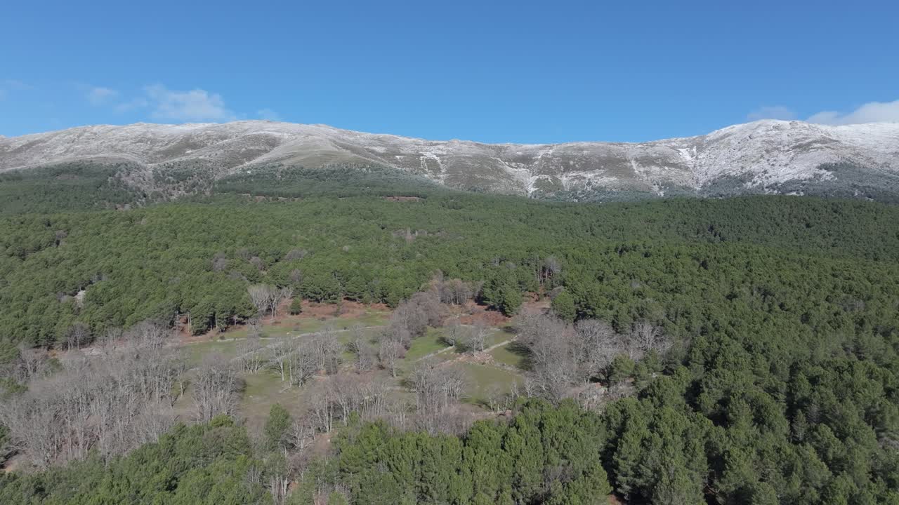 descent flight on the slope of a snowy mountain in a pine forest with some farms with leafless oak trees in green meadows on a winter morning with a blue sky and light clouds in Avila Spain