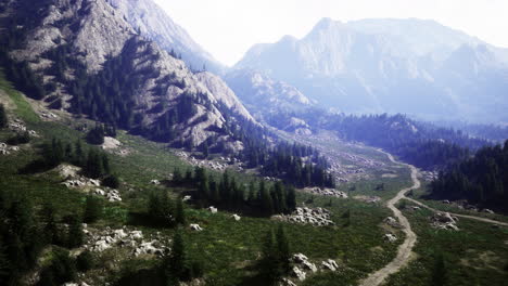 scenic mountain landscape with winding path and lush greenery during daylight