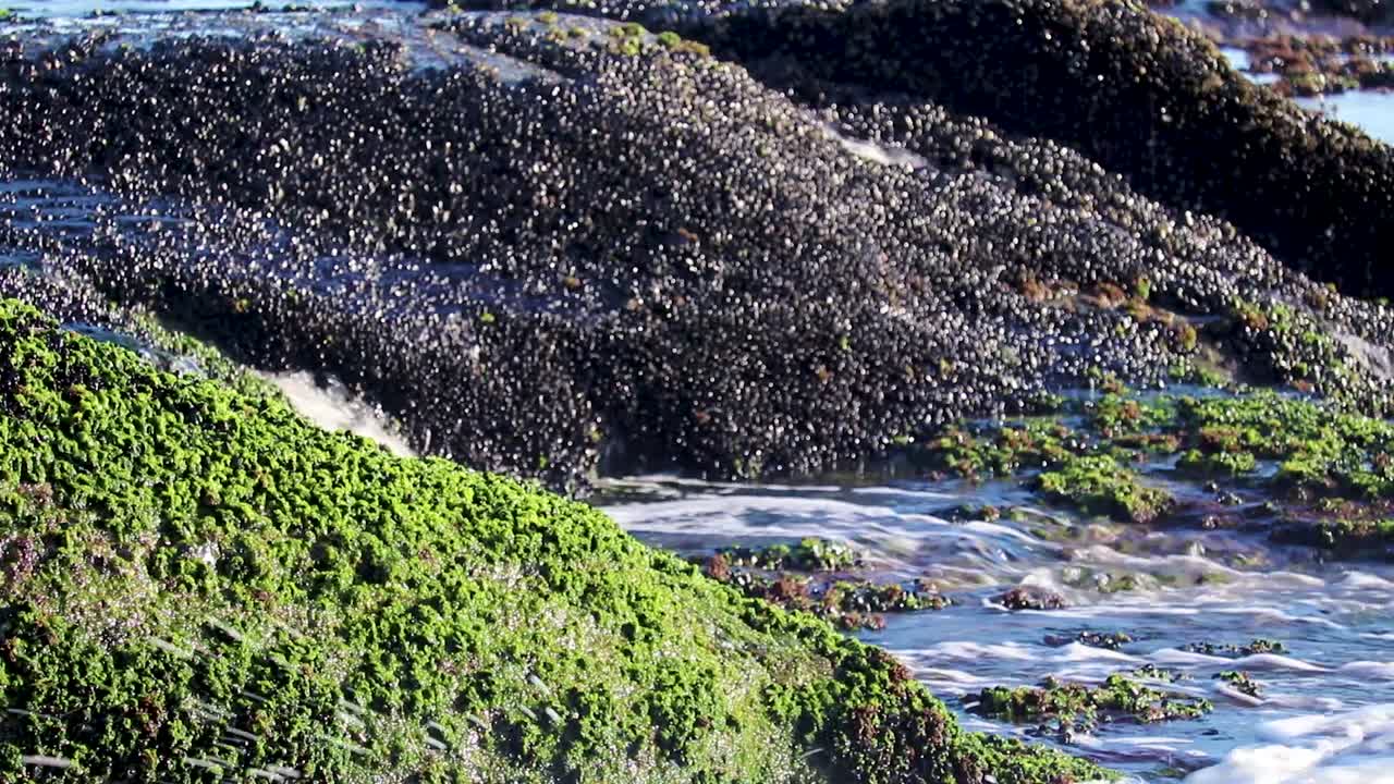 vista de la playa desde la orilla