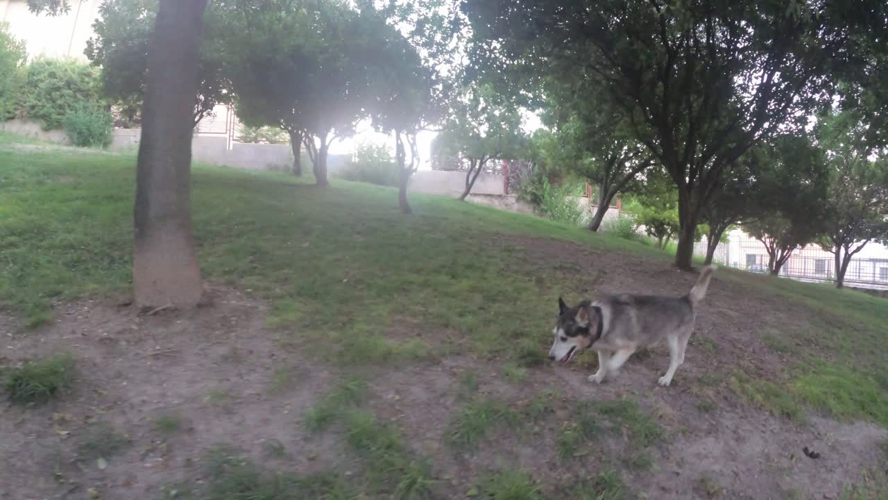 하엔 스페인 도심과 거리 4k 24fps에서 안달루시아 스페인의 이 오래된 도시에 대한 일부 전망