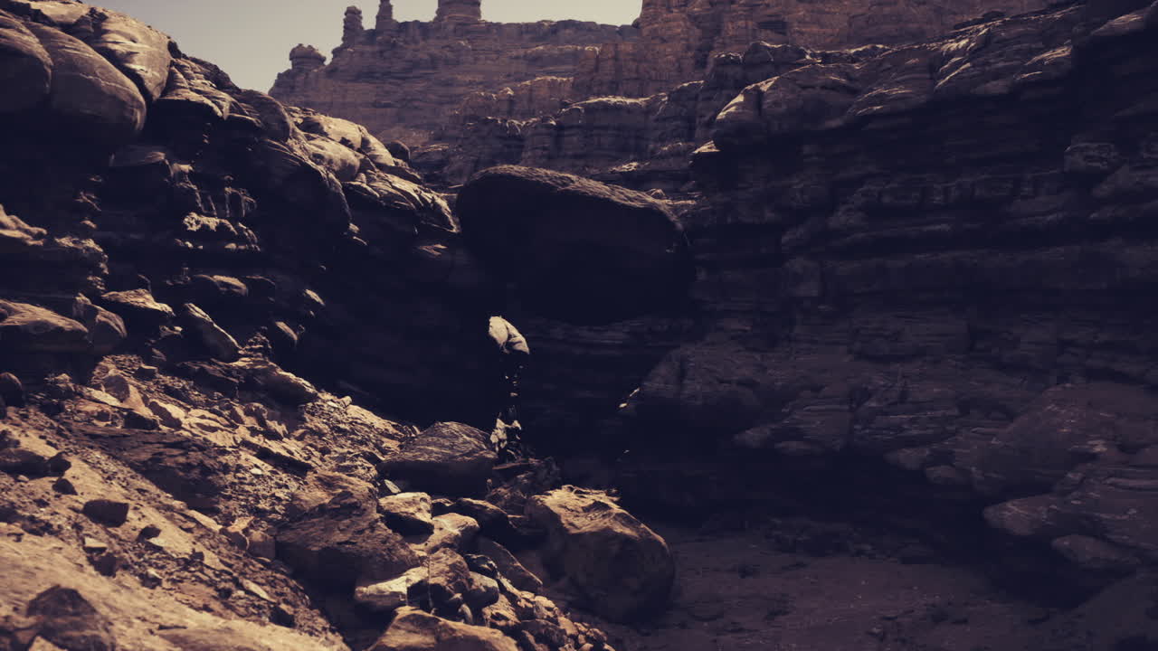 Shadowed canyon with contrasting warm highlights and textured rocks