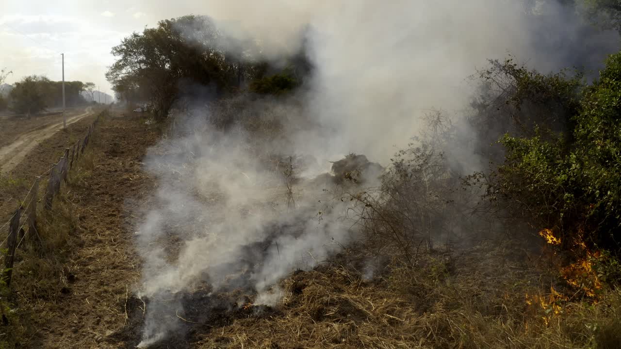 los incendios arden y arden a lo largo del camino agrícola mientras los incendios de deforestación destruyen el pantanal brasileño.