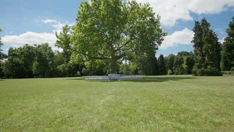 empty wedding location under a big and isolated tree in a park on a sunny day