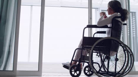 mature woman in a wheelchair