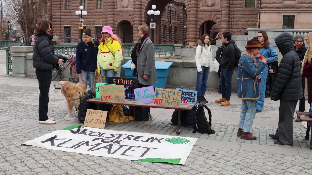 School Strike for Climate in Stockholm