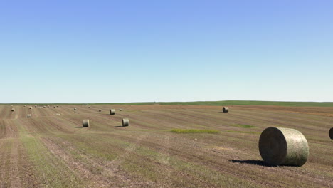 hay bales on the vast farm in saskatchewan, canada - wide drone shot