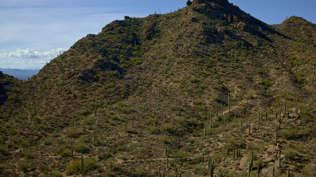 una foto de un dron que se levanta de un cactus para revelar una montaña cubierta de fauna del desierto