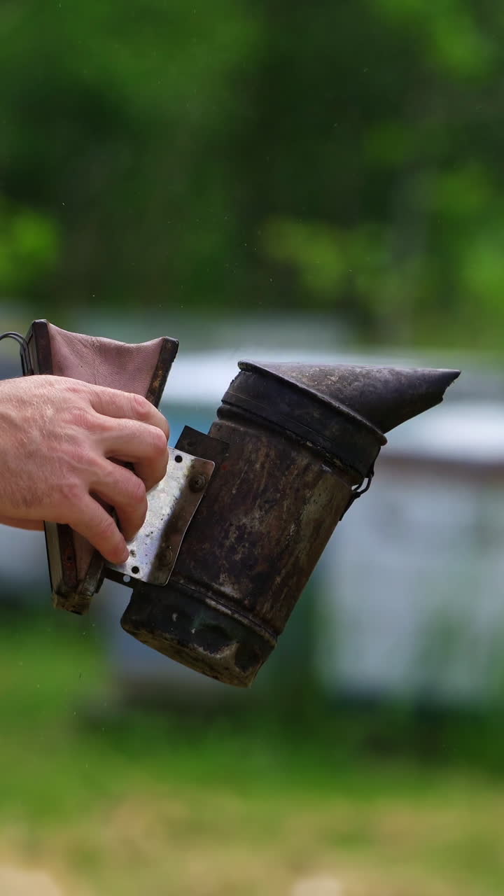 Beekeeper works with a chimney. Smoker in hands of apiarist on beehives background in summer. Apiarist concept. Vertical video