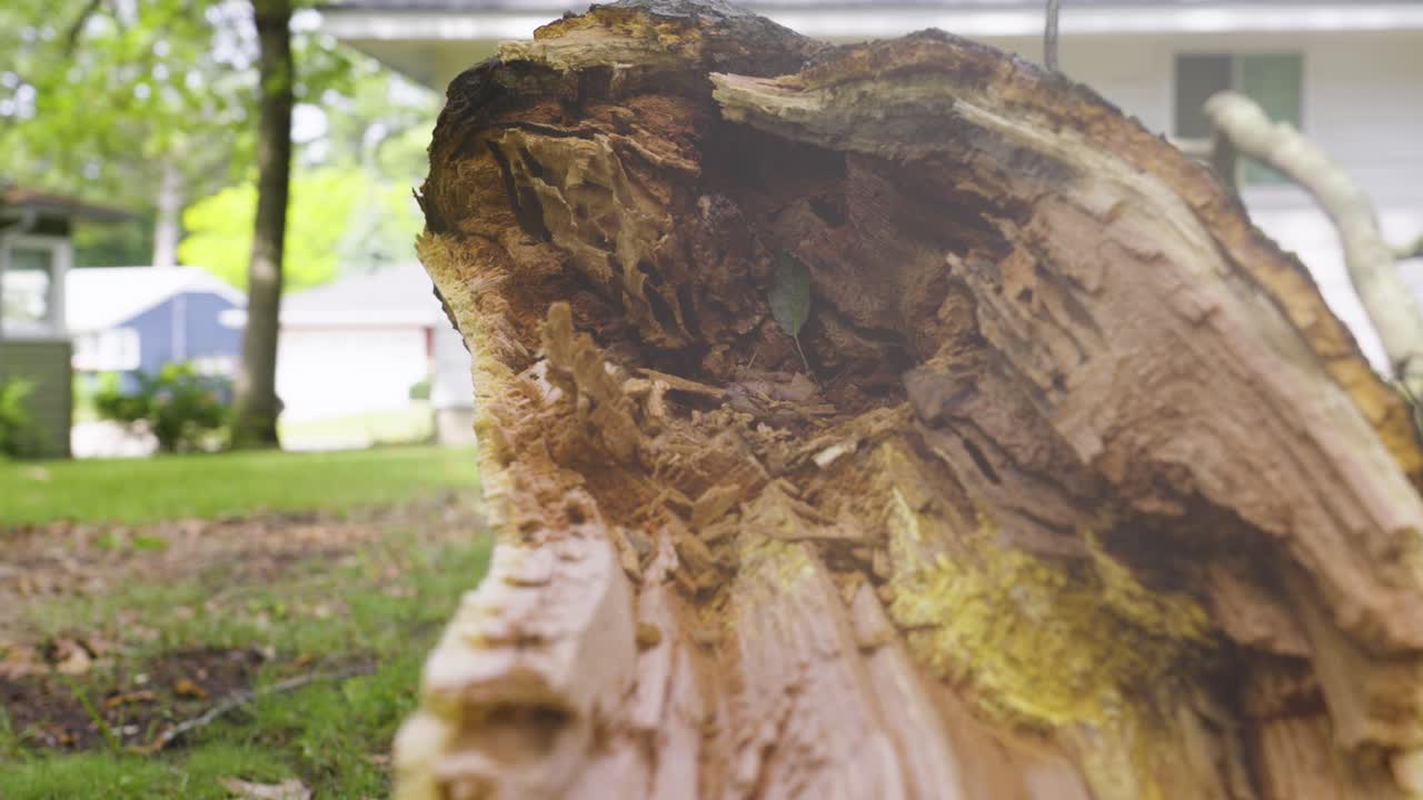 empujando para ver el detalle de la división