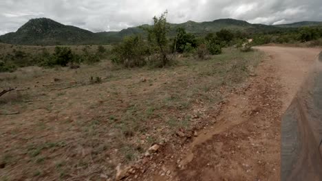pov shot of dirt road inside kruger national park in south africa