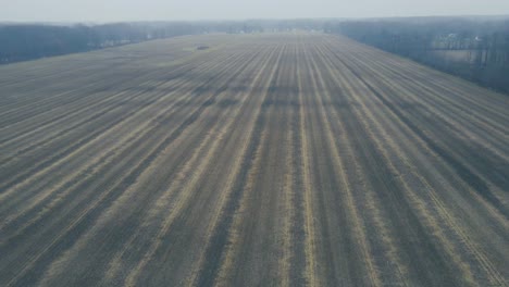 Leeres-Maisfeld-Bei-Kaltem-Wetter-In-Ohio