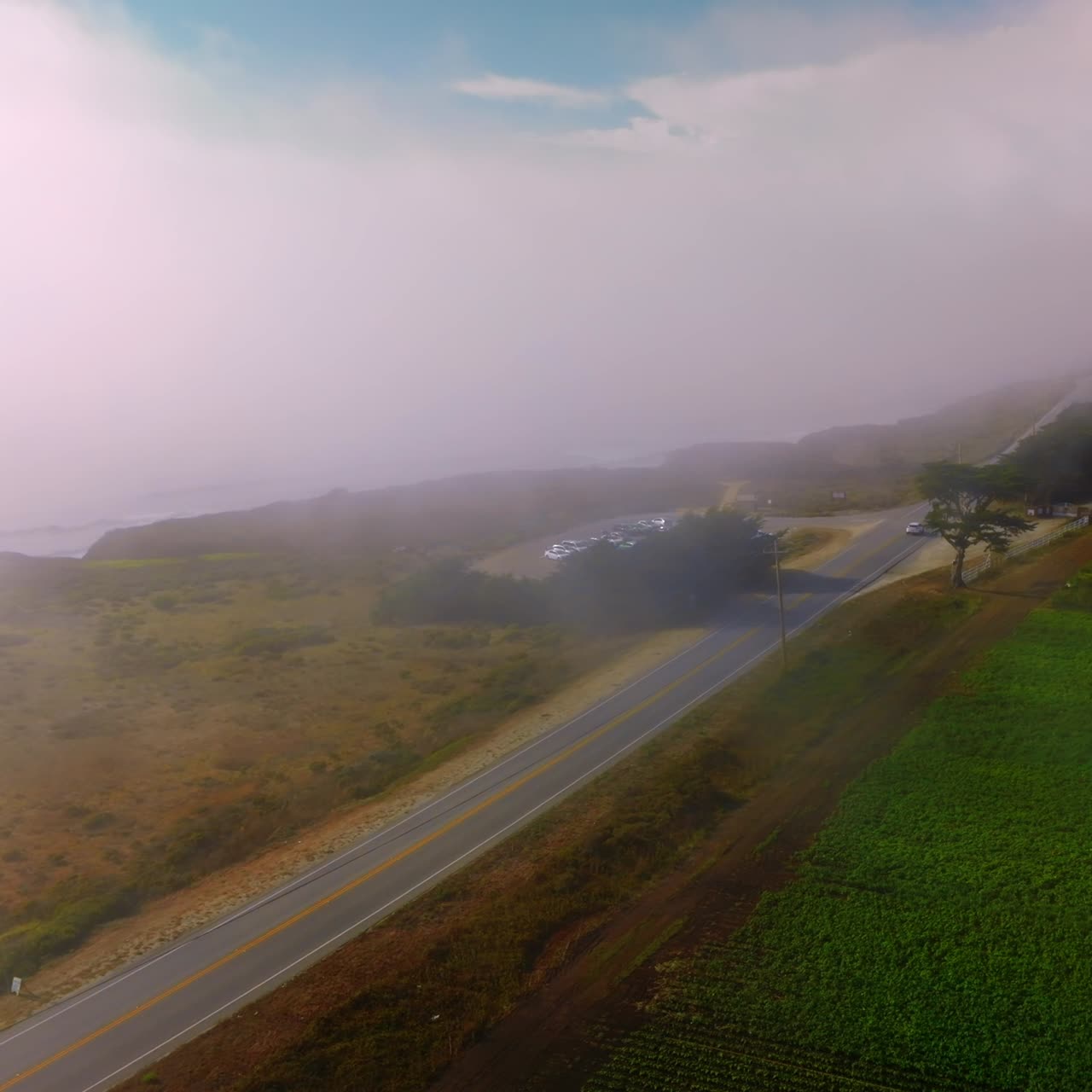 Thick fog spreading on the road and meadow from water. Cars go by the road on sunny but foggy daytime. Top view