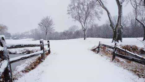 País-De-Las-Maravillas-De-Invierno-Cubierto-De-Nieve