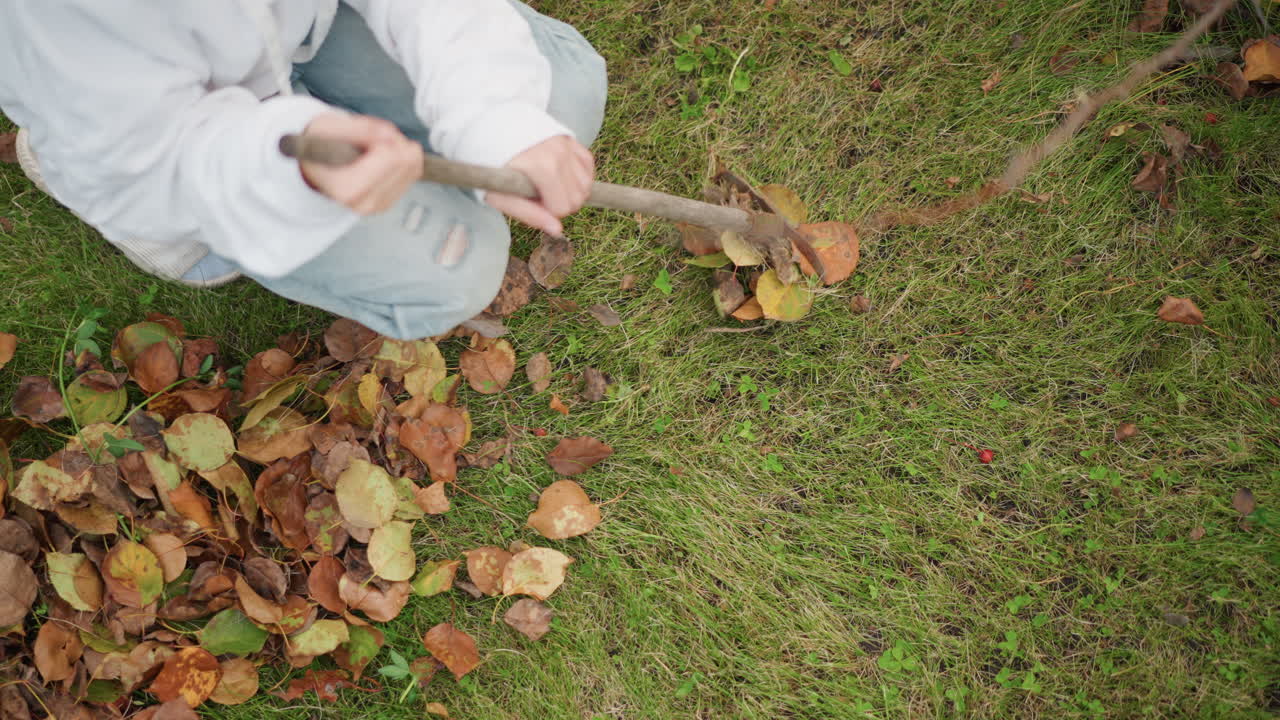 White person kneeling raking autumn leaves on green lawn using wooden stick, denim jeans and pale sweatshirt, close aerial framing, methodical sweeping motion, small brown leaf pile, overcast soft