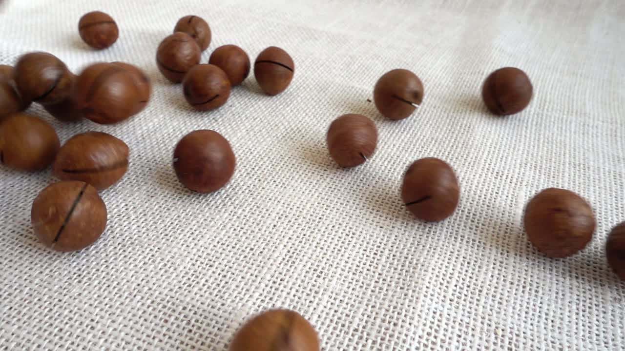 Noci di macadamia. Riprese mentre cadono su un sacco. Rallentatore